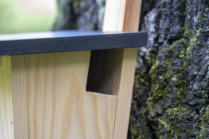 dobar Baumläufernistkasten